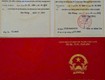Đào tạo chứng chỉ Kỹ năng sống 