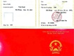 Khóa học Xoa bóp bấm huyệt   vật lý trị liệu 