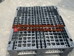 Thanh Lí Pallet Nhựa Trà Vinh GIÁ RẺ CỰC SỐC   Giao Nhanh Tận Nơi  ...