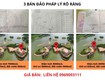 Sở hữu 1 trong những bán đảo nghỉ dưỡng đẹp nhất hồ núi cốc   đầu tư...