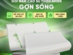 Gối cao su thiên nhiên   Đồng hành cùng giấc ngủ chất lượng mỗi đêm 