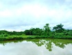 Chính chủ sang nhượng trang trại thủy sản 1 héc   ta hệ thống hiện đại, cách...