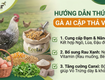 Thức Ăn Cho Gà Ai Cập Thả Vườn: Cách Phối Dinh Dưỡng Giúp Gà Khỏe, Đẻ Bền 