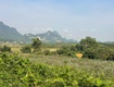 Đất cao phong giá sốc chỉ dưới 1 triệu/m  sở hữu 6000m  view cánh đồng cách...