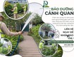 Dịch vụ chăm sóc cây xanh nhà xưởng kcn Nhơn trạch Đồng Nai 