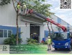 Chăm Sóc Cây Xanh Nhà Xưởng KCN Biên Hòa Đồng Nai 
