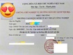 Hướng dẫn viên du lịch 
