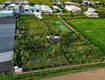 Đất lớn mặt tiền xuân thới sơn   gần 6400m    ngang 65m có thổ...