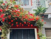 Mặt tiền kinh doanh Tô Hiệu 70m2 4 tầng SHR chỉ 10.5 tỷ 