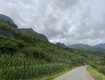 Đất đẹp làm nhà hàng, khách sạn khách du lịch quanh năm tại hà cán tỷ tuyên quang...
