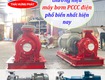 Các thương hiệu máy bơm PCCC điện phổ biến nhất hiện nay 