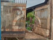Bán đất 162m2, sẵn sổ, mặt tiền đ.nguyễn văn bứa, xã xuân thới thượng, hóc môn, hcm 