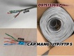 Cáp mạng Altek   kết nối nhanh, tín hiệu mạnh 