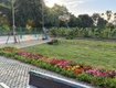 Chủ cần bán gấp lô đất mặt chợ hoà lạc 