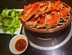 Vịt Vân Đình ngon tại Văn Phú 