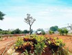 Bán nhanh giá đầu tư 14tr 863m yên xuân quốc oai sát trục chính view thoáng mát đường...