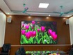 Màn Hình LED Độ Phân Giải Cao   Giải Pháp Hiển Thị Sắc Nét Cho Doanh Nghiệp...