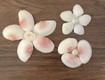 Kẹp Tóc Đi Biển Đẹp Chuẩn Trend TikTok Hiện Nay 