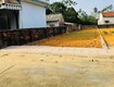 Cần tiền bán lô đất đẹp miễu, tiễn xuân giá rẻ 83m nhỉnh 3tỷ đường 3 ôtô thông...