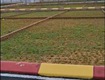 Cần bán lô đất phường xuân khanh, sơn tây, hà nội 