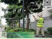 Bảo dưỡng cảnh quan KCN Biên Hòa 1, Biên Hòa 2 Đồng Nai 
