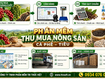 Phần mềm thu mua cà phê   tiêu 