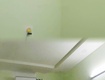 Chính chủ cho thuê phòng trọ đẹp   thoáng mát   giờ giấc...