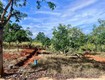 Mảnh đất đã hoàn thiện hạ tầng ngang 12m 