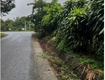 Sở hữu ngay đất nhà vườn đẹp   mặt tiền đường nhựa  ...