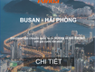Cước vận chuyển hàng từ busan về hải phòng 