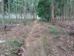 Cần tiền xoay vốn đầu tư nên bán gấp 1ha đất cao su non tại xã vĩnh hòa,...