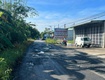 Cần bán 28 công sầu riêng monthong  sầu thái  đang cho trái   mặt tiền...