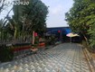 Bán gấp nhà vườn 6145m full hồng riêng 300m thổ cư hồ bơi, nhà mới chỉ 5 tỷ...