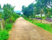 Tổng 3,9 sào   2 mặt tiền nhựa chính tân thành, đức trọng cũ, lâm đồng 