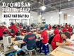 mới mở shop và đang tìm nguồn hàng ổn định  gọi 0822.879.469  Hảo 