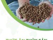 Thủ tục nhập khẩu thức ăn thủy sản 