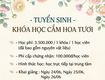 Tuyển sinh khóa học cắm hoa tươi mở shop kinh doanh