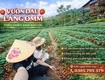 Gấp   bán đất view hồ làng omm phường 2, bảo lộc 