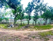 1,1 ha đất hẻm bên sông pré, phú hội cũ, đức trọng, lâm đồng 