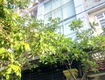 Bán nhà hiệp bình phước thủ đức 61m    3 tầng 4pn   hẻm xe...
