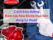 Bảo dưỡng bơm cứu hỏa stella trục liền đúng kỹ thuật nhà sản xuất 