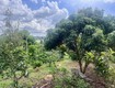 Cần bán nhà vườn nghỉ dưỡng 4800m2 ở ven Đà Lạt 