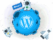 Dịch vụ quản trị website định kỳ: Cập nhật và tối ưu liên tục 
