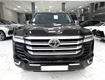 Bán land cruiser lc300 sản xuất 2024, lên full bodykit trung đông. 