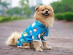 Bật mí 4 kiểu quần áo cho chó mùa hè mỏng, thoáng mát 