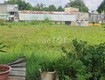 Bán 1.950m  đất nông nghiệp quy hoạch đất ở   hẻm xe hơi   giá...