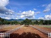 Cần bán đất thổ cư gần chợ Thăng Long   hạ tầng chuẩn chỉnh 