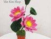 Chậu Hoa Handmade   Món Quà Trang Trí Độc Đáo Và Ý Nghĩa 