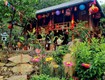 Homestay nghỉ dưỡng giữa thiên nhiên   view ruộng bậc thang, suối thác quanh năm  ...