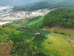 Bán đất nghỉ dưỡng , canh tác tại lang biang, đà lạt , lâm đồng...